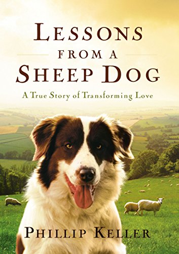 Lessons from a Sheep Dog Cover