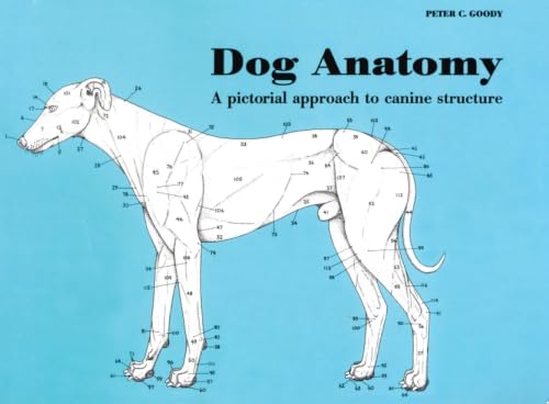 Dog Anatomy Cover