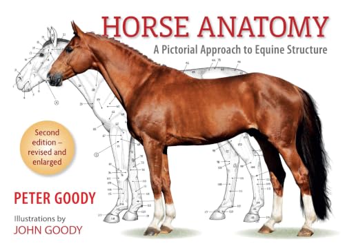 Horse anatomy Cover