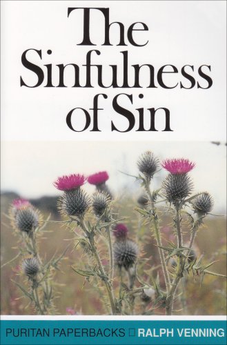 The Sinfulness of Sin Cover