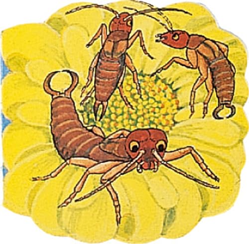Pocket Earwig Cover