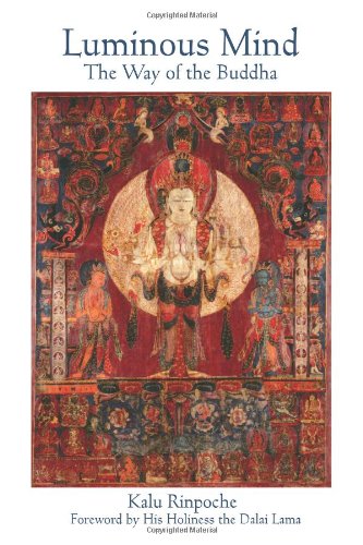 Luminous Mind Cover