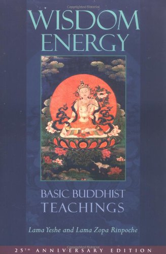 Wisdom energy Cover