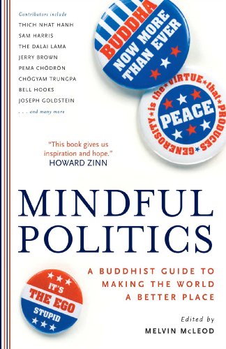 Mindful politics Cover