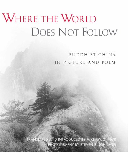Where the World Does Not Follow Cover