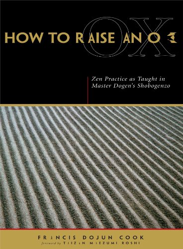 How to Raise an Ox Cover