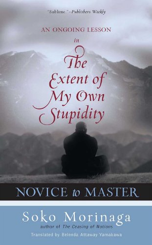 Novice to Master: An Ongoing Lesson in the Extent of My Own Stupidity Poster
