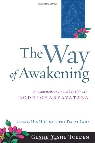 The way of awakening Cover