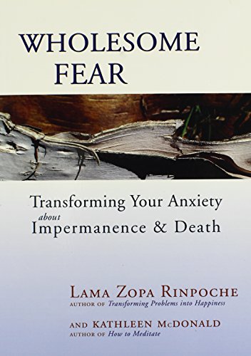 Wholesome fear Cover