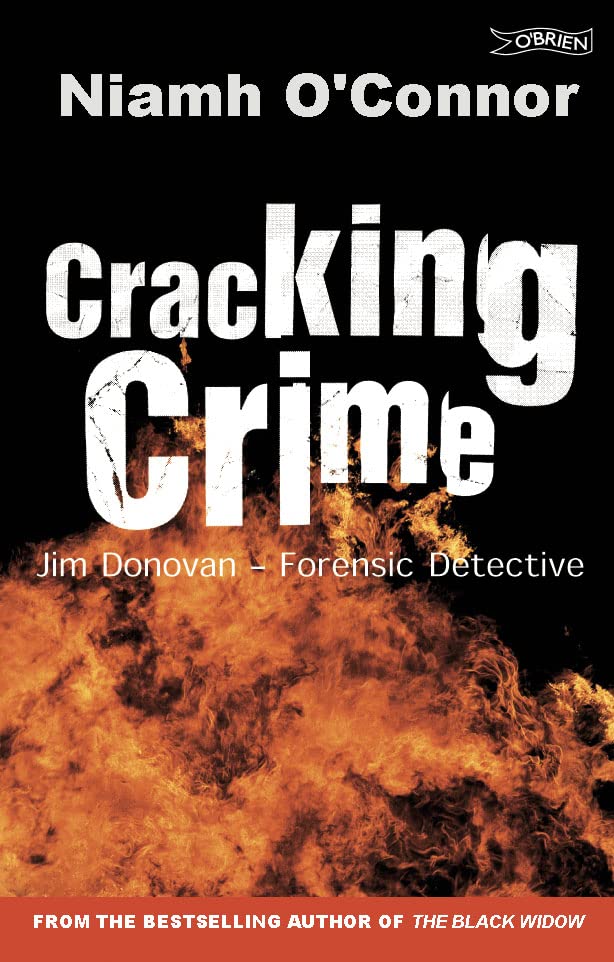 Cracking crime Cover