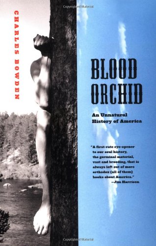 Blood Orchid Cover