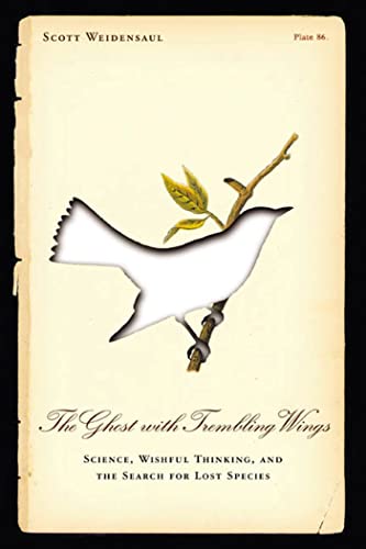 The Ghost with Trembling Wings Cover