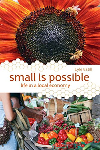 Small is possible Cover