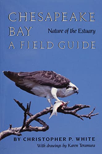 Chesapeake Bay Cover