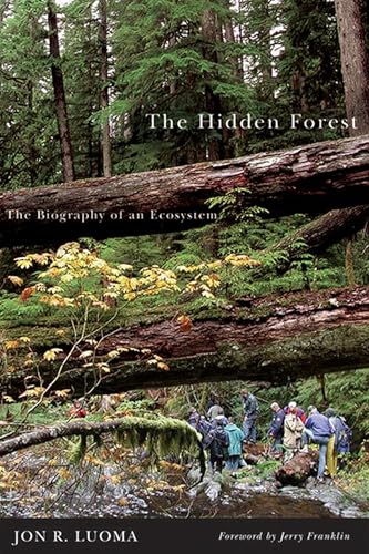 The hidden forest Cover