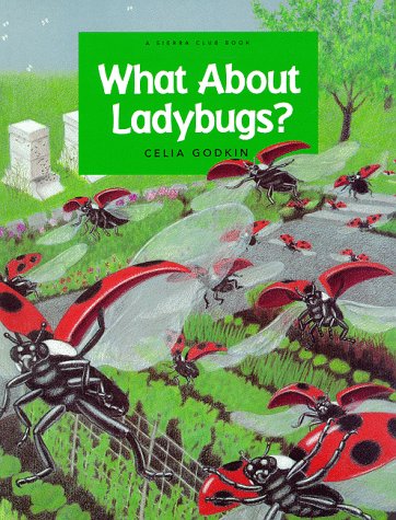 What About Ladybugs? (Sierra Club Books (Sierra)) Cover