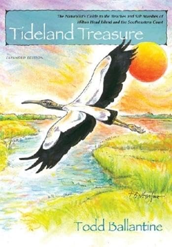 Tideland treasure Cover