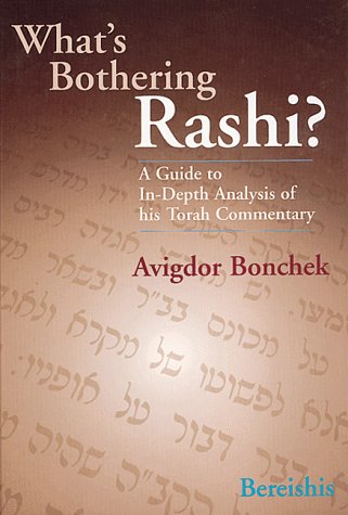 What's bothering Rashi? Cover