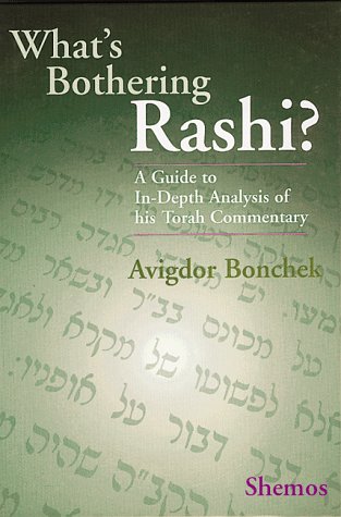 What's bothering Rashi? Cover