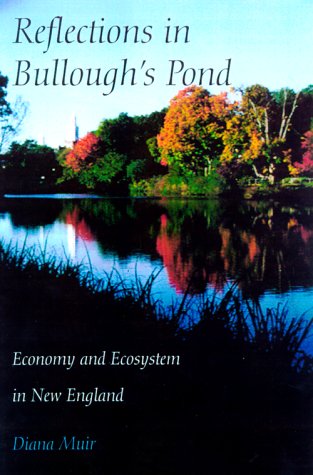 Reflections in Bullough's Pond Cover