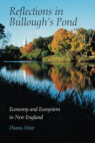 Reflections in Bullough's Pond Cover