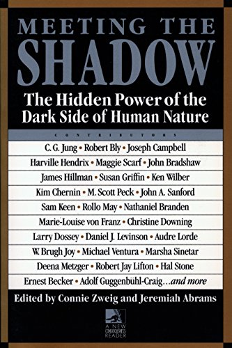 Meeting the shadow Cover