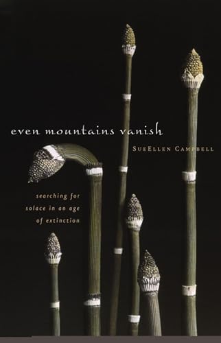 Even Mountains Vanish Cover