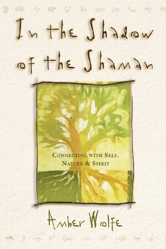 In the shadow of the Shaman Cover