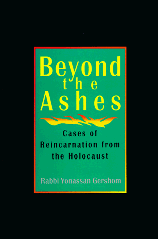 Beyond the ashes Cover