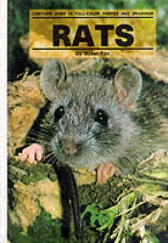 Rats Cover
