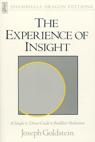 The experience of insight Cover