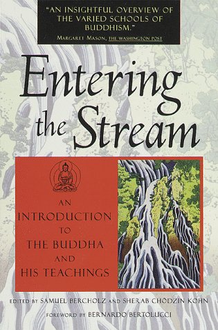 Entering the stream Cover