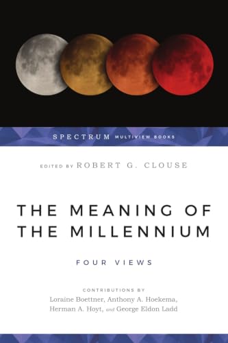 The Meaning of the millennium Cover