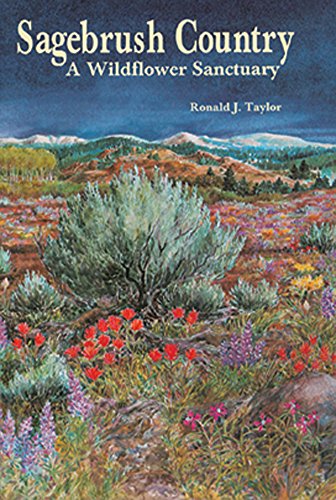 Sagebrush country Cover