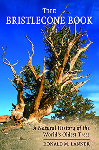 The Bristlecone Book Cover