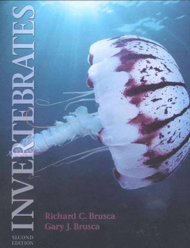 Invertebrates Cover