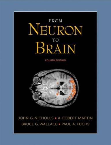 From neuron to brain Cover