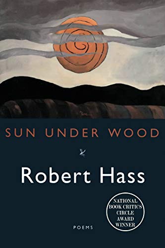Sun Under Wood Cover