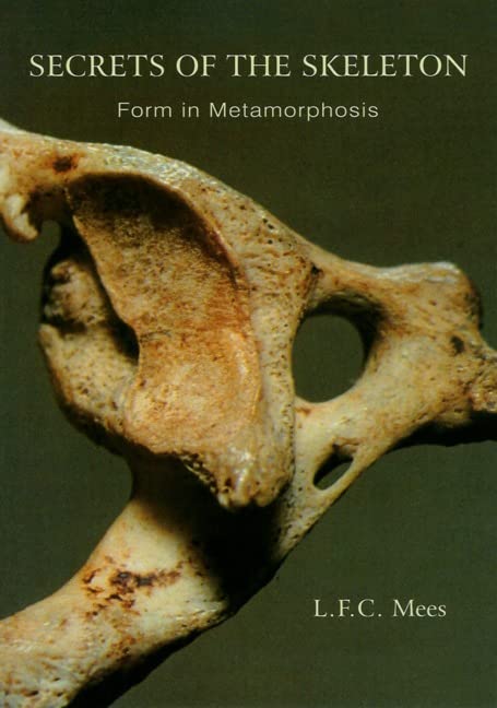 Secrets of the skeleton Cover