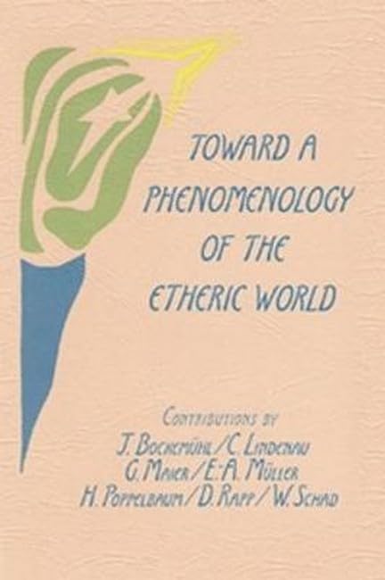 Toward a phenomenology of the etheric world Cover