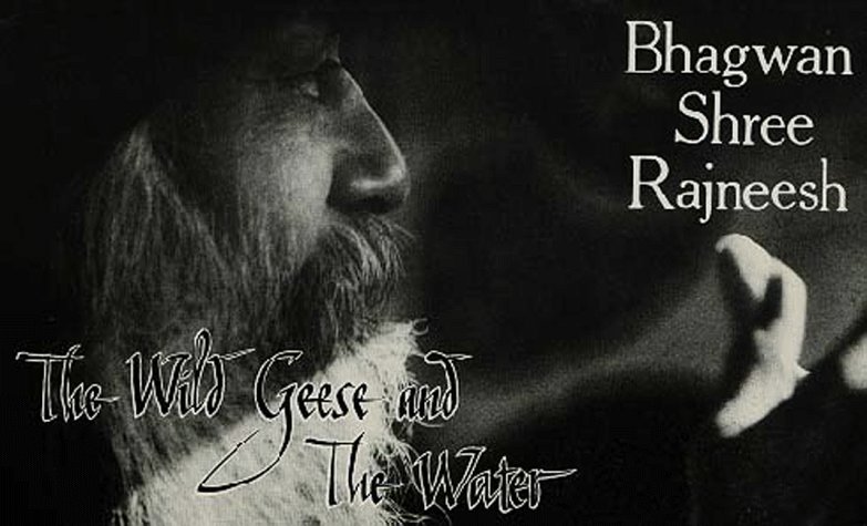 The wild geese and the water Cover