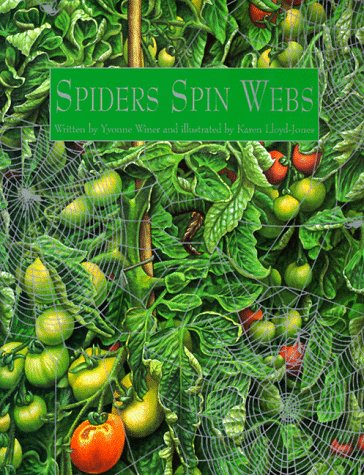 Spiders spin webs Cover