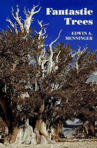 Fantastic trees Cover