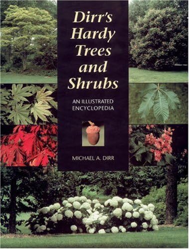Dirr's Hardy trees and shrubs Cover