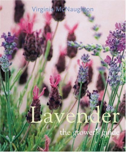 Lavender Cover