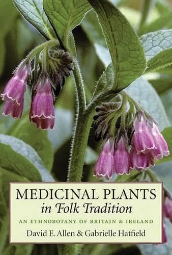 Medicinal Plants in Folk Tradition Cover