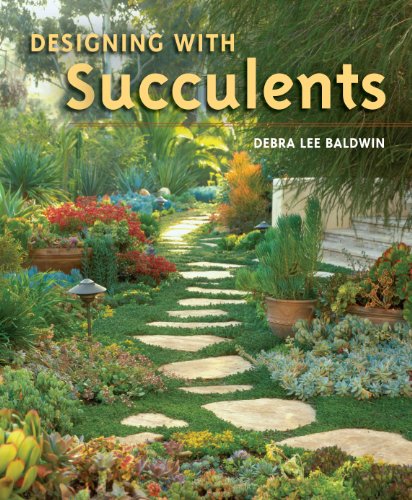 Designing with Succulents Cover