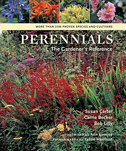 Perennials Cover