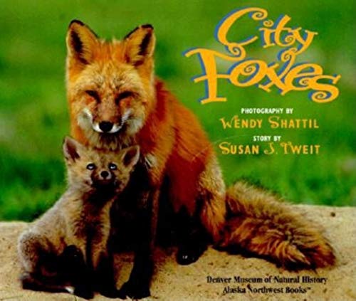 City foxes Cover