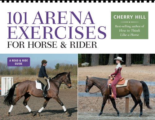 101 arena exercises Cover